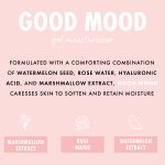 <span class=bbbbb>Good Mood Gel Moisturizer</span><br/><b class=ccccc>Balancing Face Moisturizer</b> - Image 2